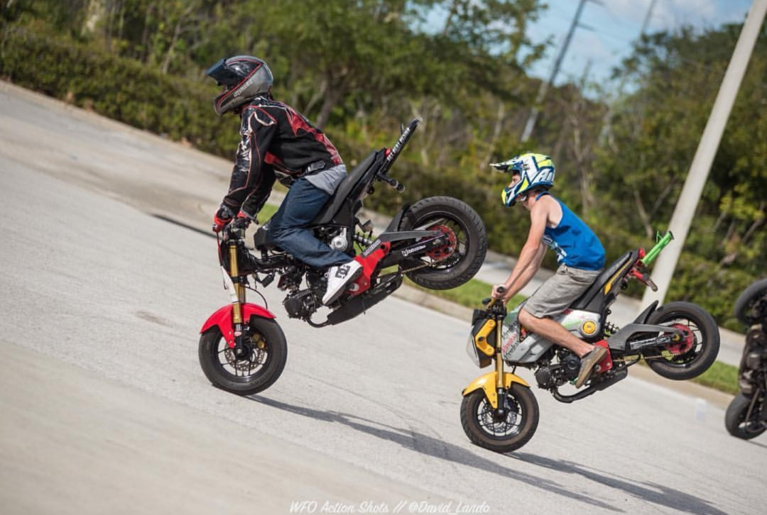 Honda Grom 250